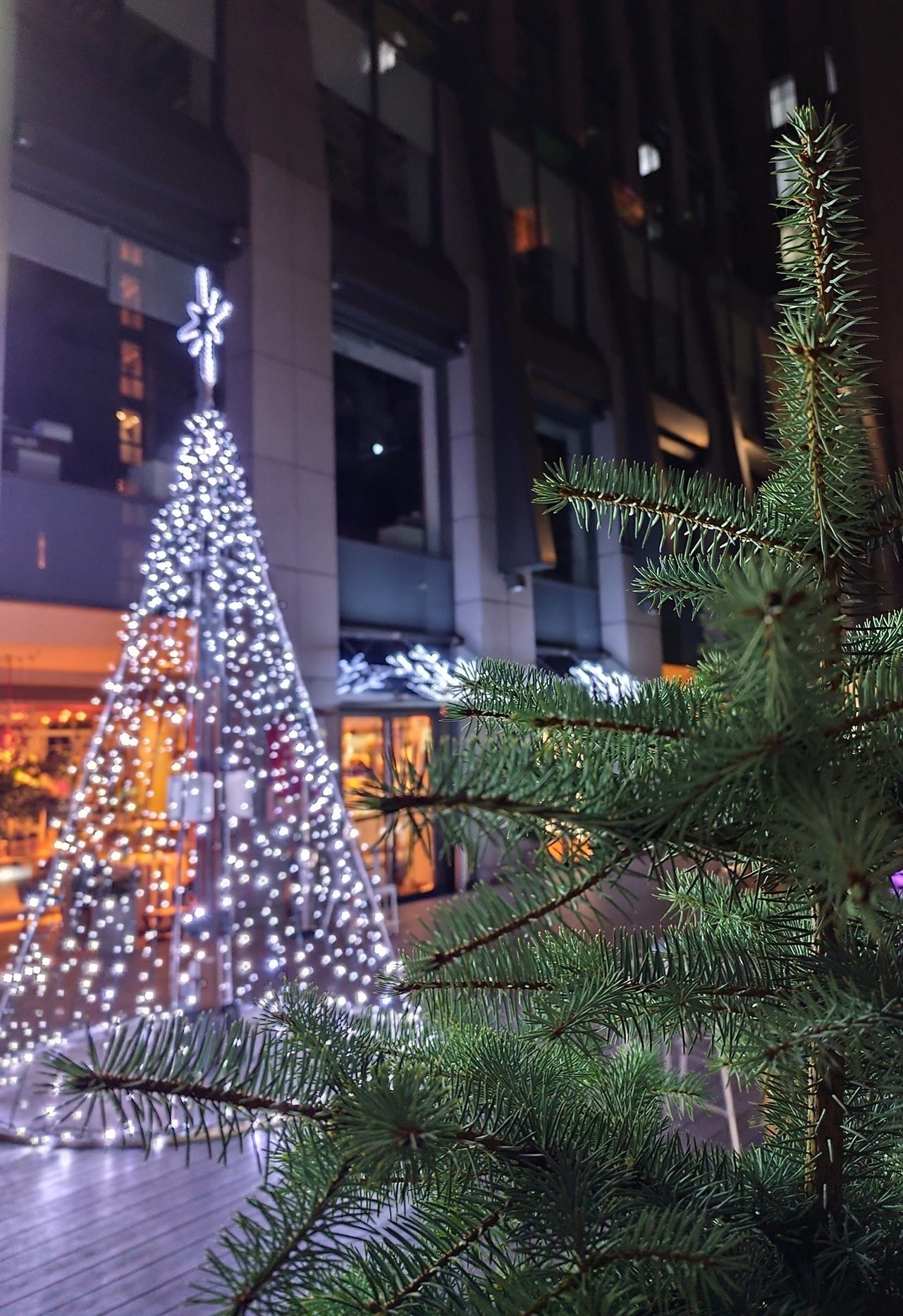 В Киеве и Львове готовятся к Новому 2026-му году