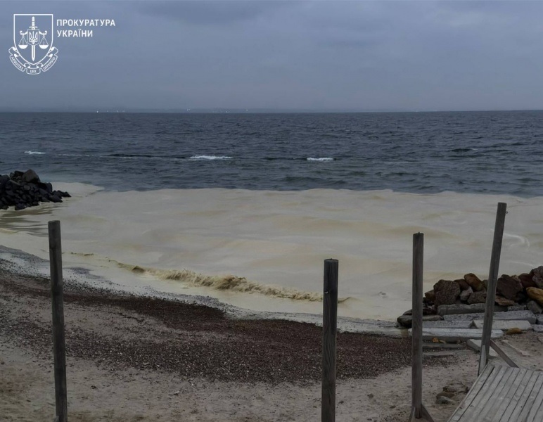 В Одессе пытаются спасти сотни птиц, пострадавших из-за загрязнения моря маслом
