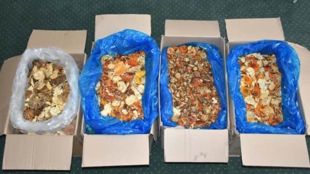 Польские пограничники задержали украинца за перевозку коробок с мухоморами