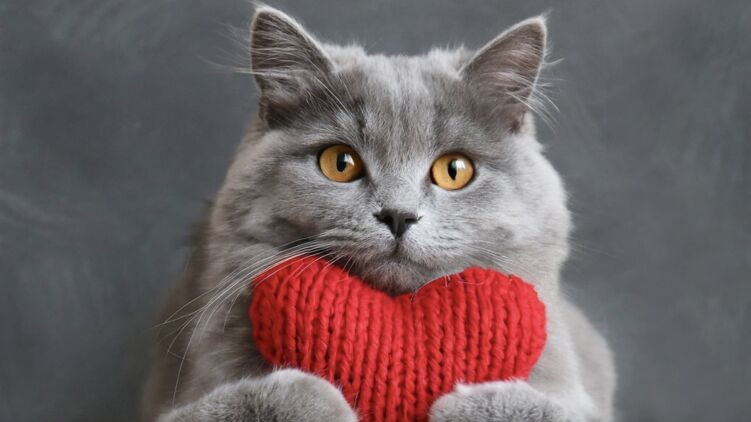 14 февраля отмечают как День святого Валентина в нескольких странах: что известно