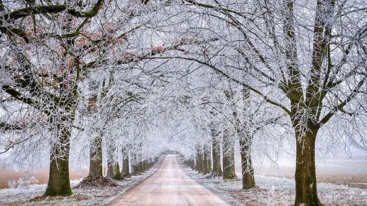 Морозы до -24 градусов: в ближайшие дни в Украине резко похолодает