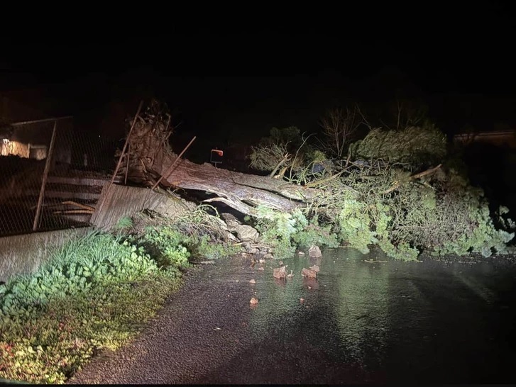 На юге Франции из-за шторма обесточены 850 тысяч домов