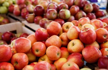 Когда лучше всего есть яблоки: советы диетологов