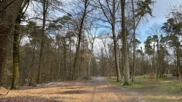 В Германии нашли в лесу тело 19-летней украинки: в убийстве подозревается гражданин Сирии