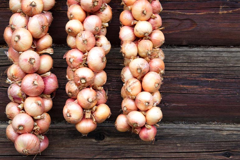 В марте 2026 лук в Украине стремительно дешевеет