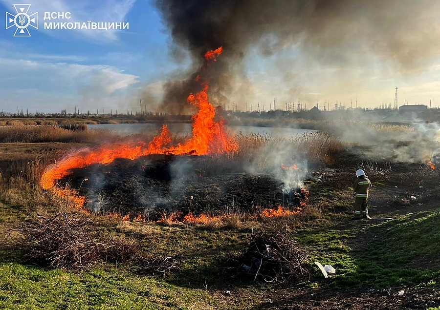 В экосистемах Николаевской области пожары охватили более 6000 квадратных метров