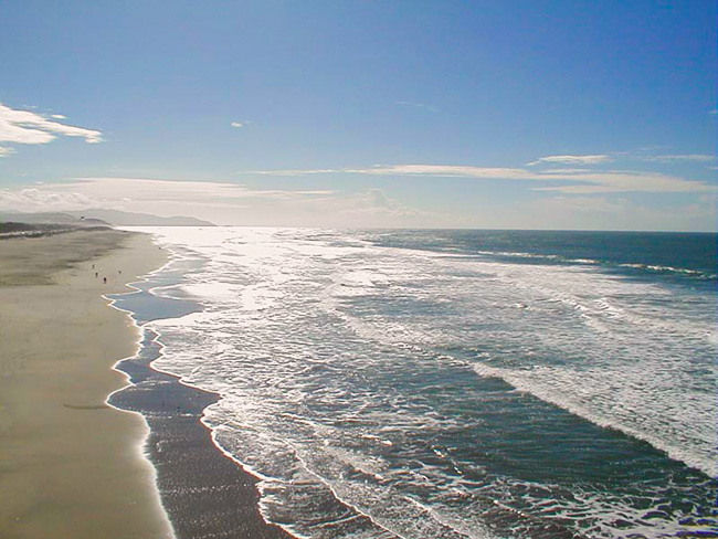 Шотландия разрешила новую альтернативу захоронению — «водную кремацию»