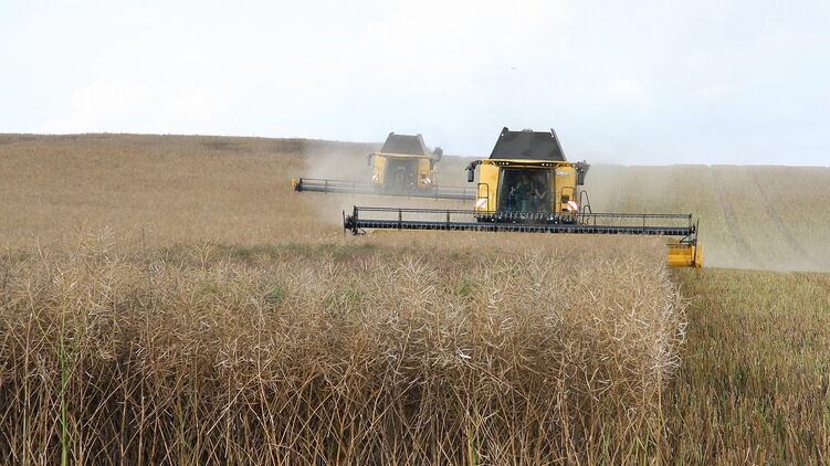 Война на Ближнем Востоке ударила по украинским фермерам — Reuters