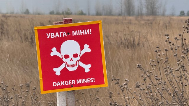 Прогремел взрыв: в Сумской области женщина наткнулась на мину – ОВА