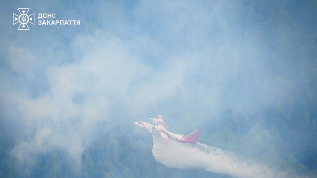 Спасатели локализовали пожары в лесничествах в Закарпатской и Ровенской областях