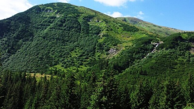 В Румынию с 2022 года нелегально сбежали 32 тыс. украинцев, 39 человек погибли в горах – Bild