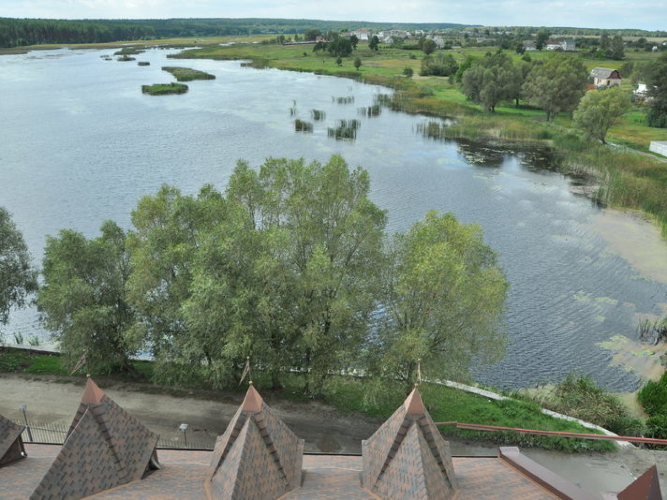 Замок Радомысль