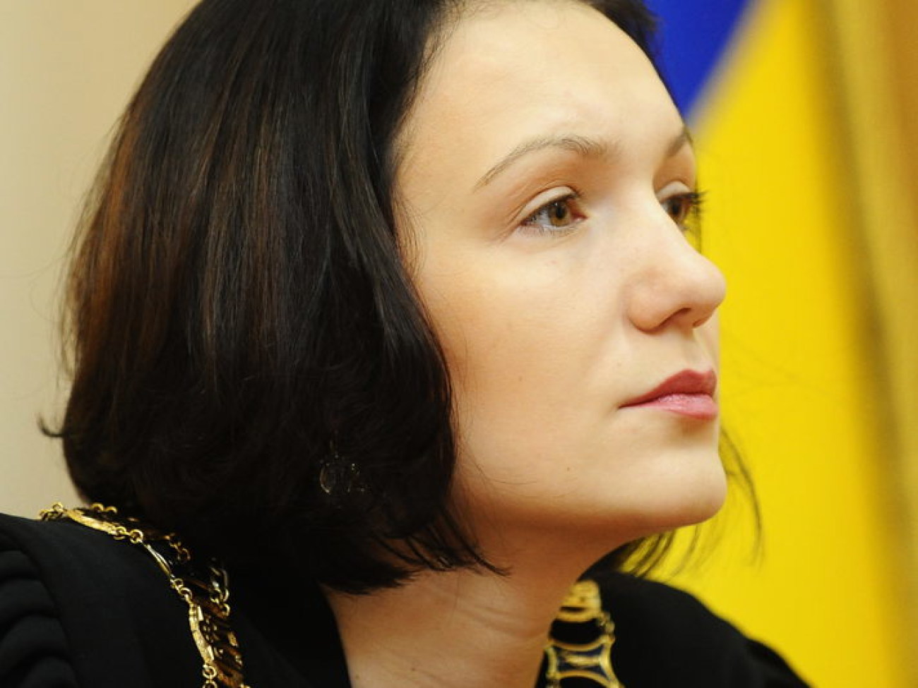 Заседание Киевского апелляционного суда по результатам голосования на 132-м и 197-м округах, 9 ноября 2012г.