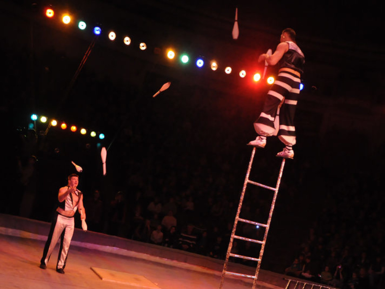 Национальный цирк Украины представил новую программу, 24 января 2013