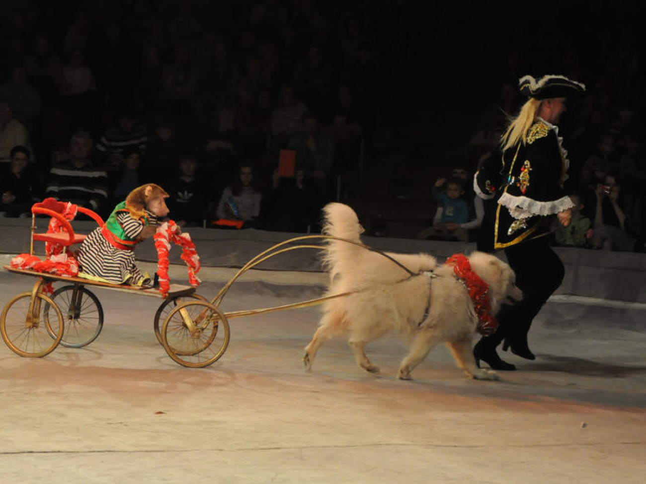Национальный цирк Украины представил новую программу, 24 января 2013