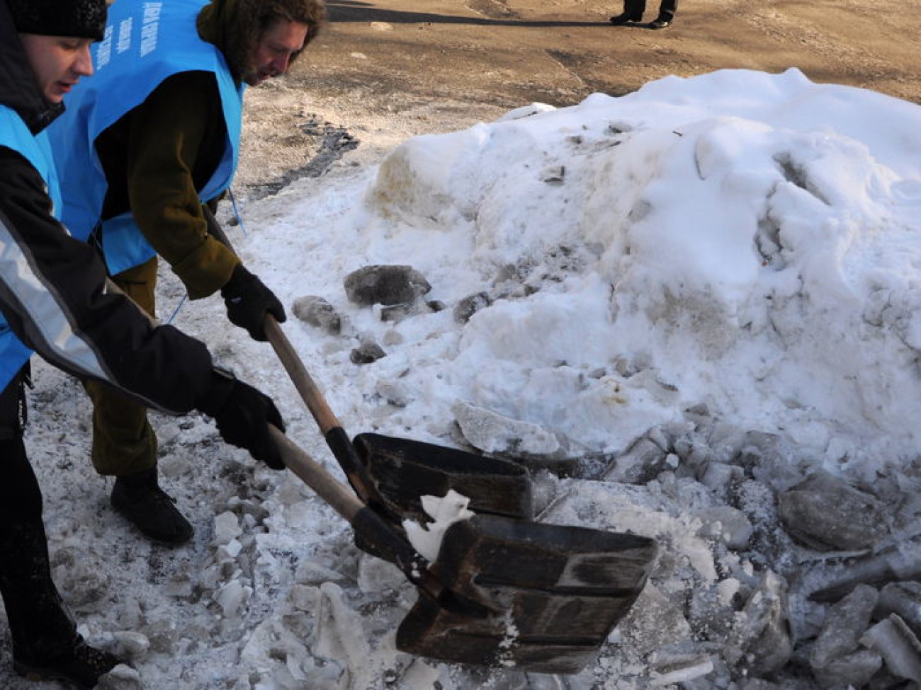 Общественность Киева вышла на субботник, 26 января 2013г.