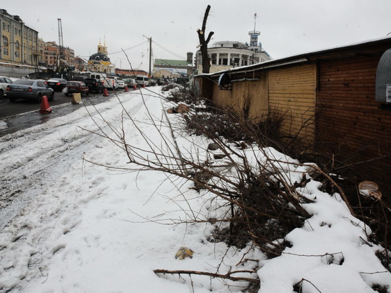 Реконструкция Почтовой площади погубила деревья на набережной