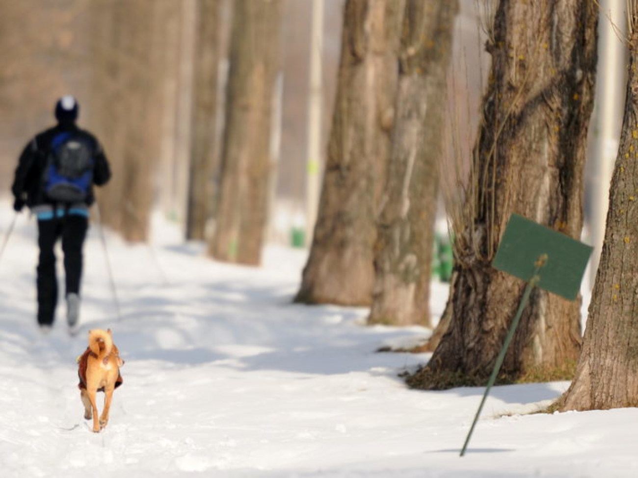 В Киеве состоялся зимний фестиваль экстремальных видов спорта Snow Free Games, 24 февраля 2013г.