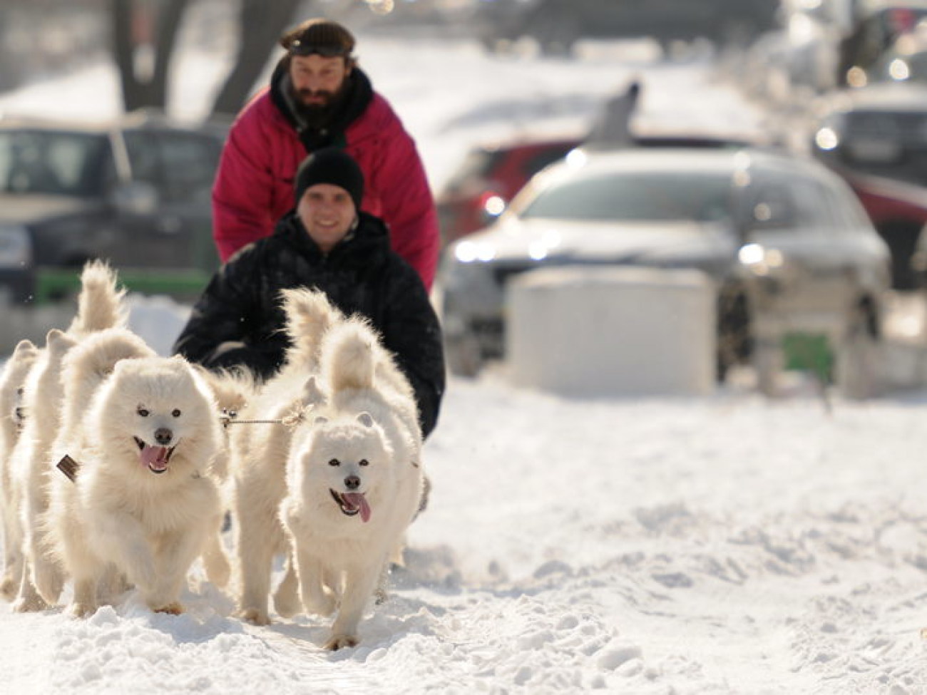 В Киеве состоялся зимний фестиваль экстремальных видов спорта Snow Free Games, 24 февраля 2013г.