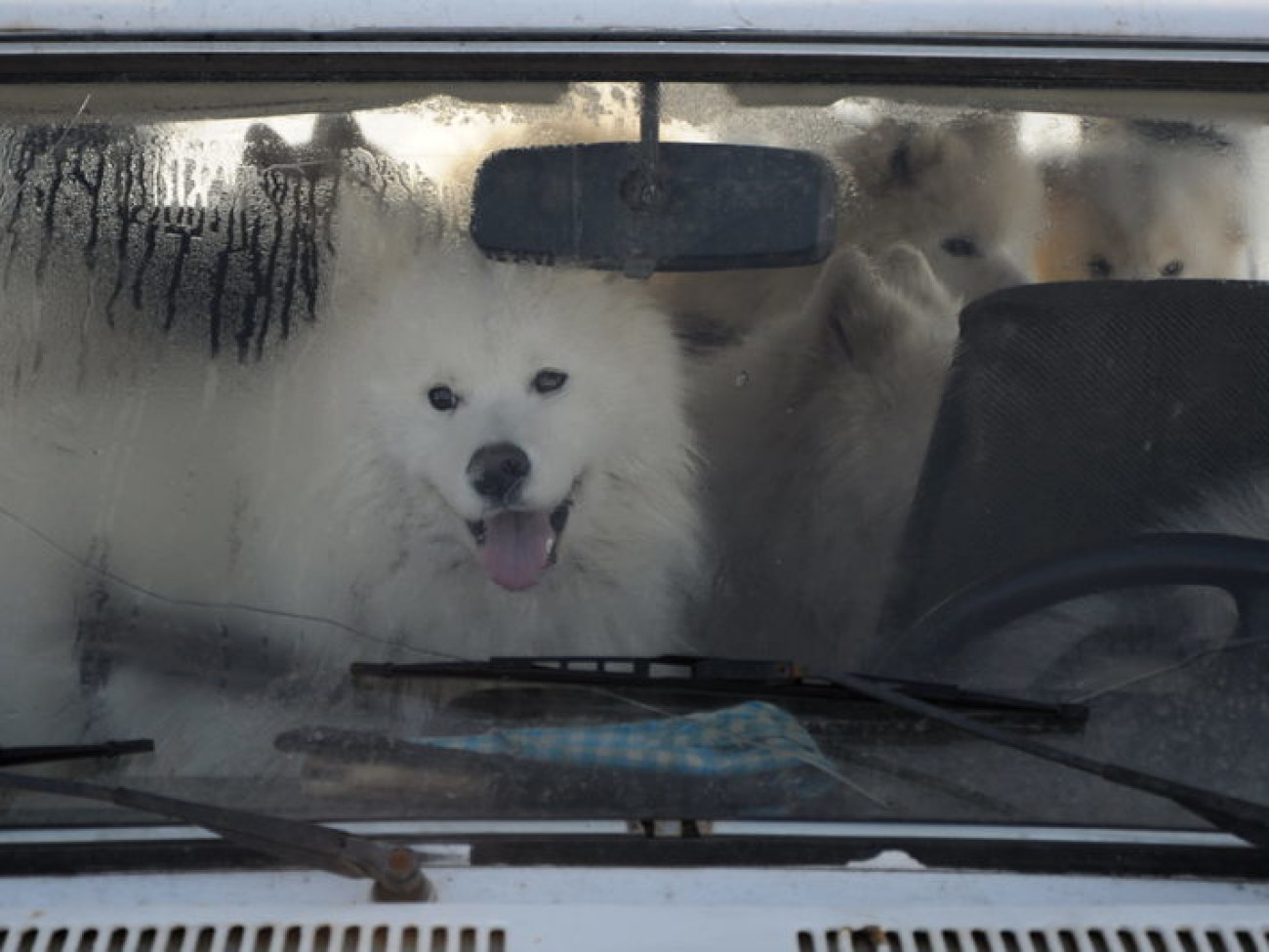 В Киеве состоялся зимний фестиваль экстремальных видов спорта Snow Free Games, 24 февраля 2013г.