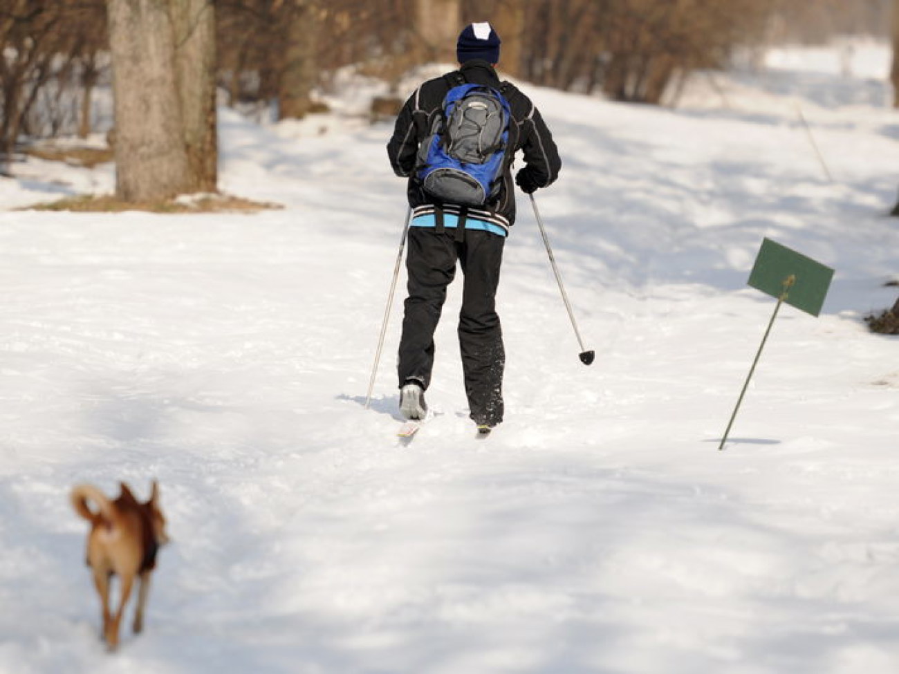 В Киеве состоялся зимний фестиваль экстремальных видов спорта Snow Free Games, 24 февраля 2013г.