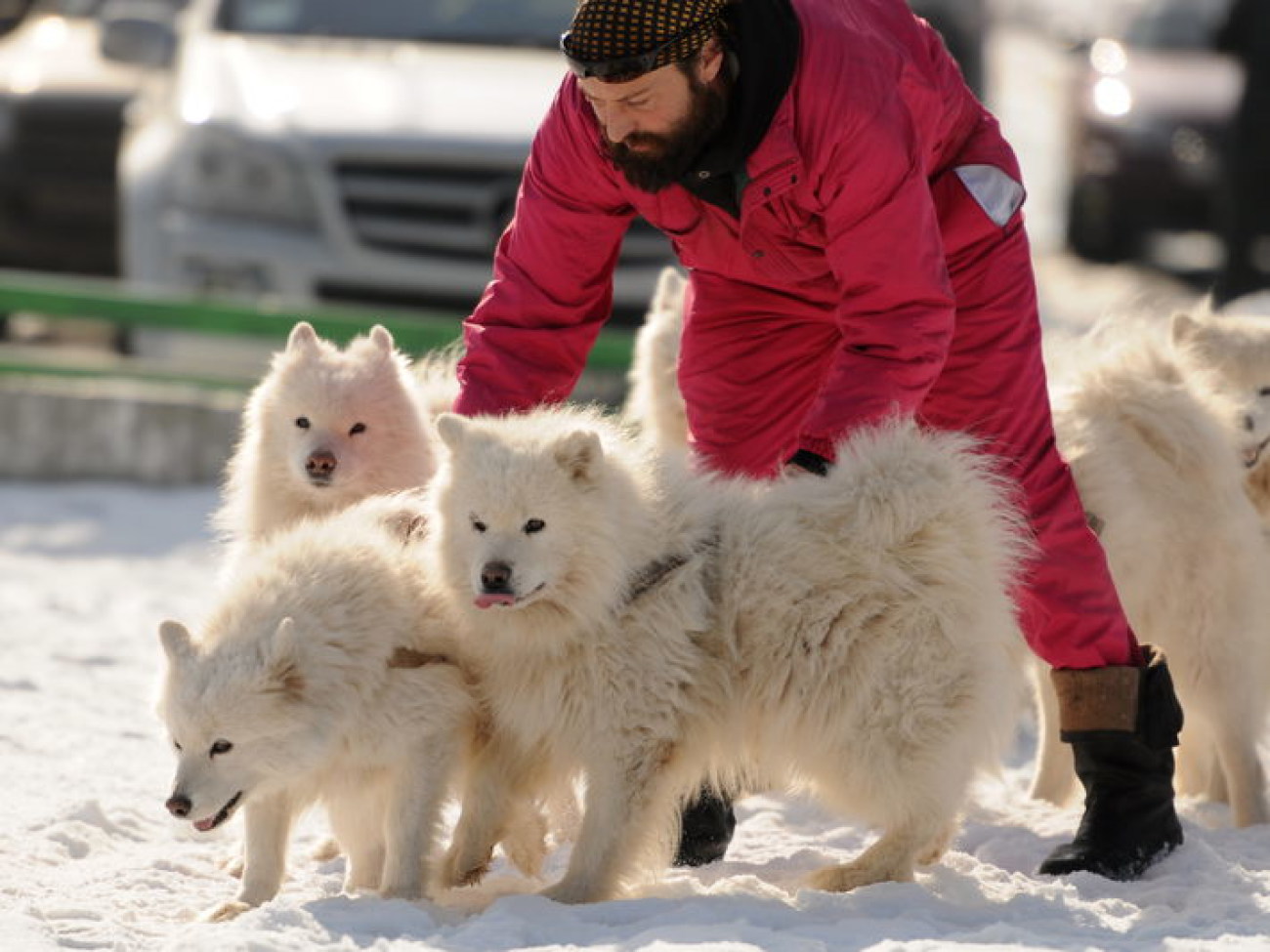 В Киеве состоялся зимний фестиваль экстремальных видов спорта Snow Free Games, 24 февраля 2013г.