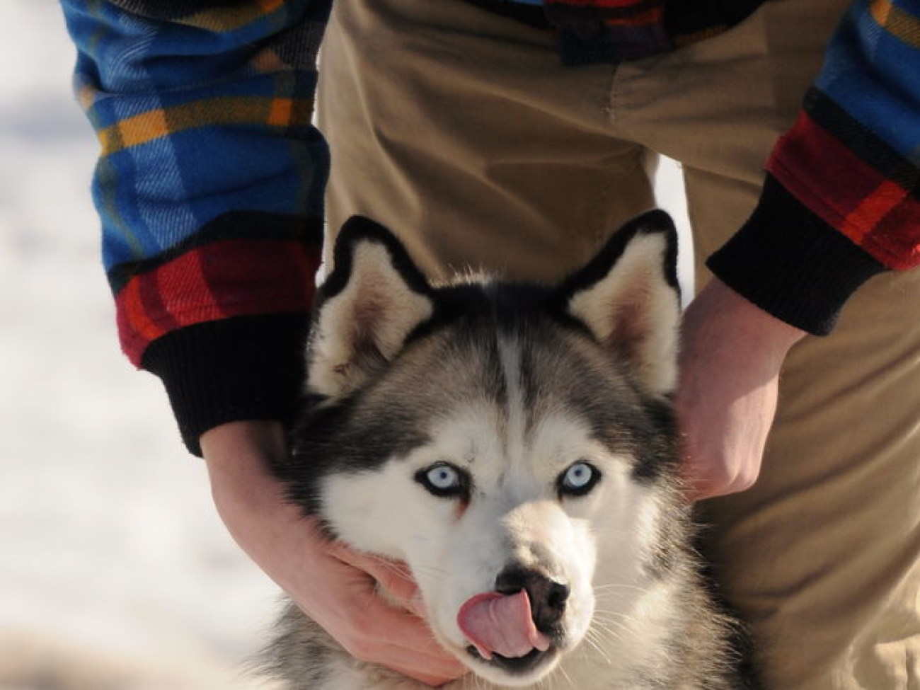 В Киеве состоялся зимний фестиваль экстремальных видов спорта Snow Free Games, 24 февраля 2013г.