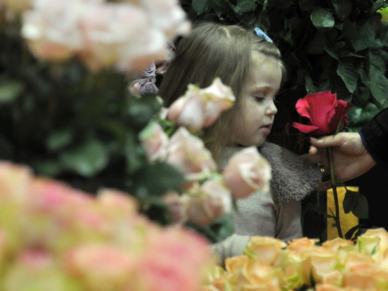 Стартовала выставка цветов &#171;Flowers &#038; HorTech Ukraine 2013&#187;, в Киеве 9 апреля 2013г.