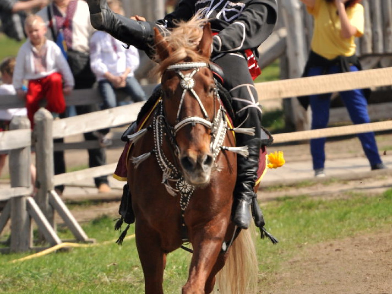 В Украине состоялся первый Международный фестиваль конно-трюкового искусства, 27 апреля 2013г.