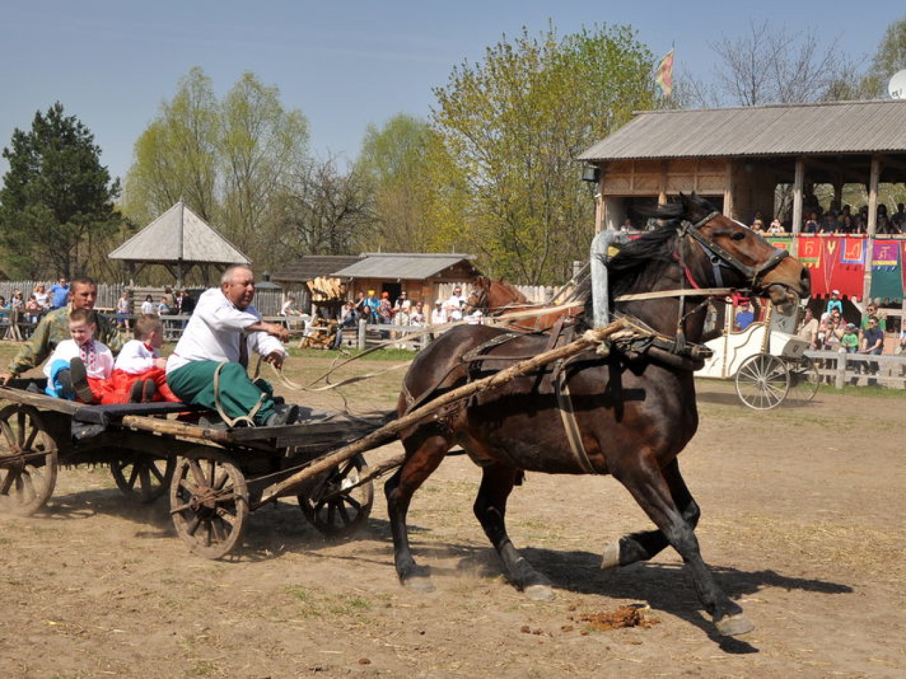В Украине состоялся первый Международный фестиваль конно-трюкового искусства, 27 апреля 2013г.