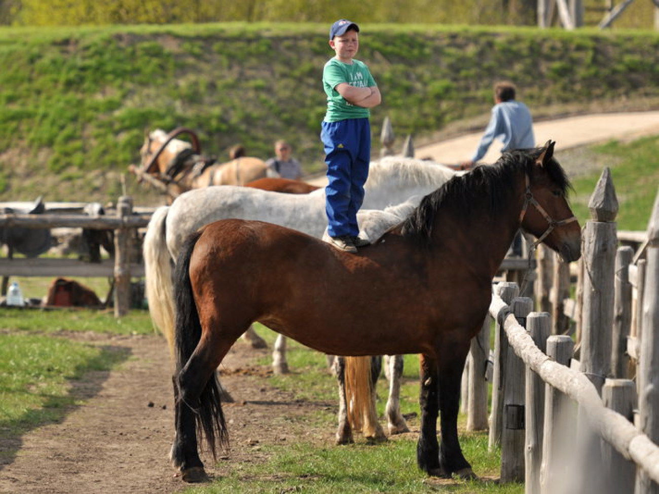 В Украине состоялся первый Международный фестиваль конно-трюкового искусства, 27 апреля 2013г.