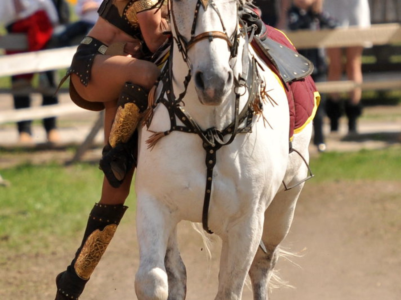 В Украине состоялся первый Международный фестиваль конно-трюкового искусства, 27 апреля 2013г.