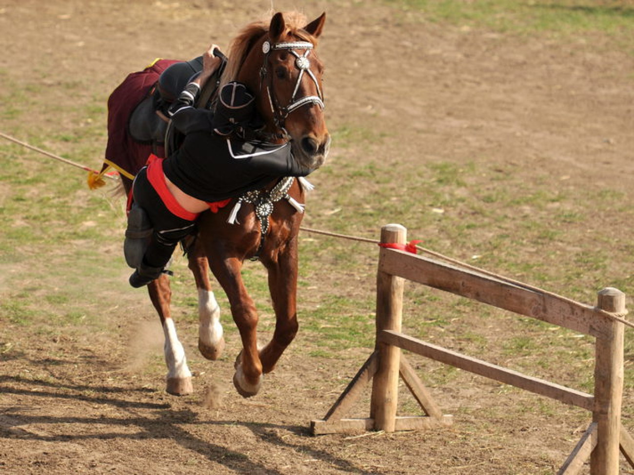 В Украине состоялся первый Международный фестиваль конно-трюкового искусства, 27 апреля 2013г.
