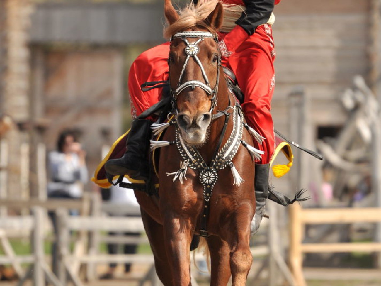 В Украине состоялся первый Международный фестиваль конно-трюкового искусства, 27 апреля 2013г.
