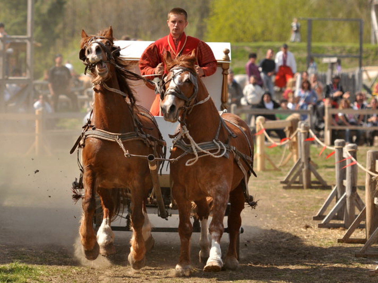 В Украине состоялся первый Международный фестиваль конно-трюкового искусства, 27 апреля 2013г.