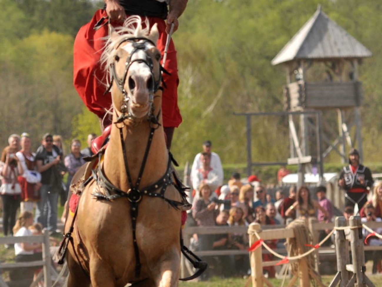 В Украине состоялся первый Международный фестиваль конно-трюкового искусства, 27 апреля 2013г.