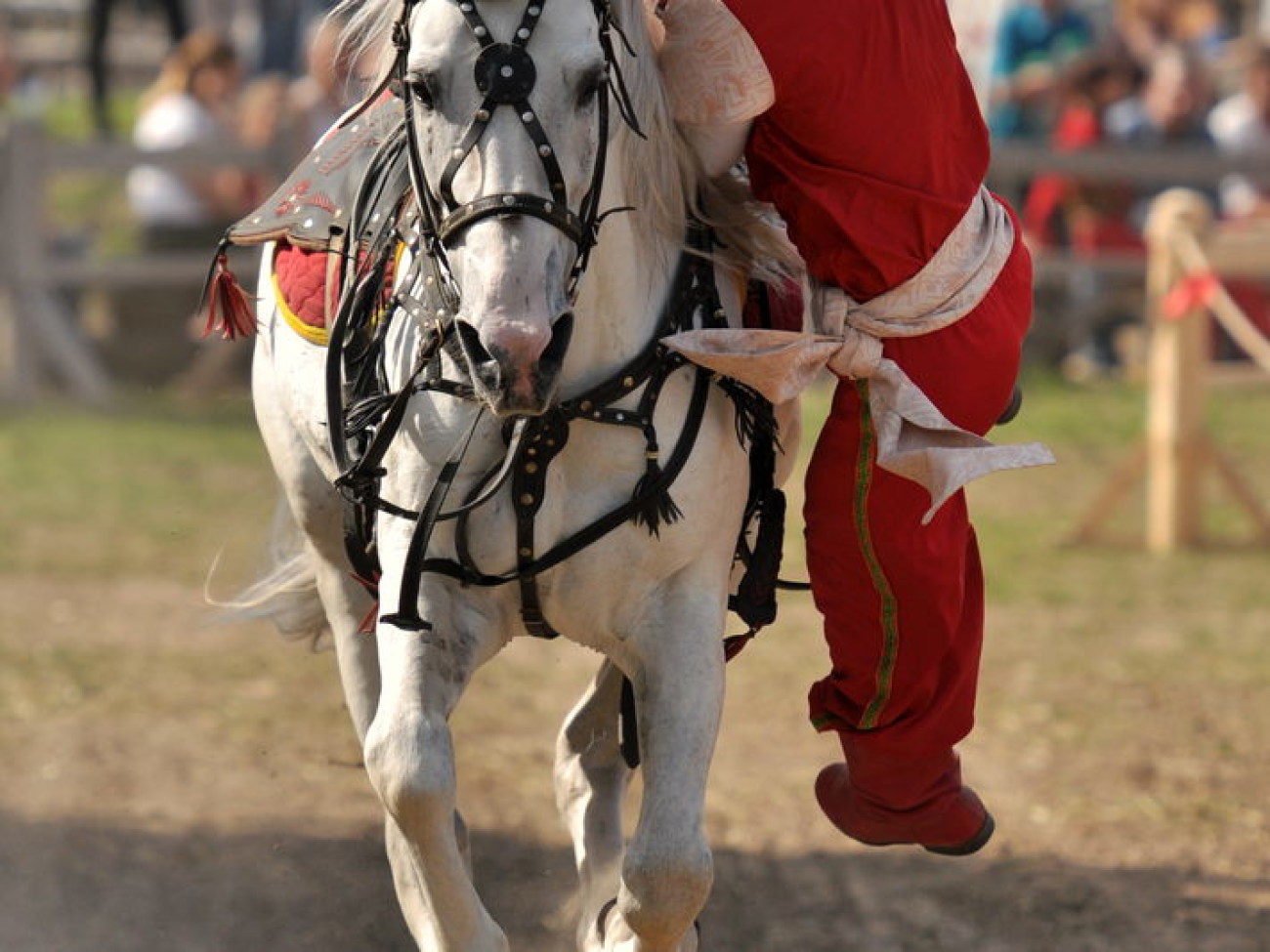В Украине состоялся первый Международный фестиваль конно-трюкового искусства, 27 апреля 2013г.