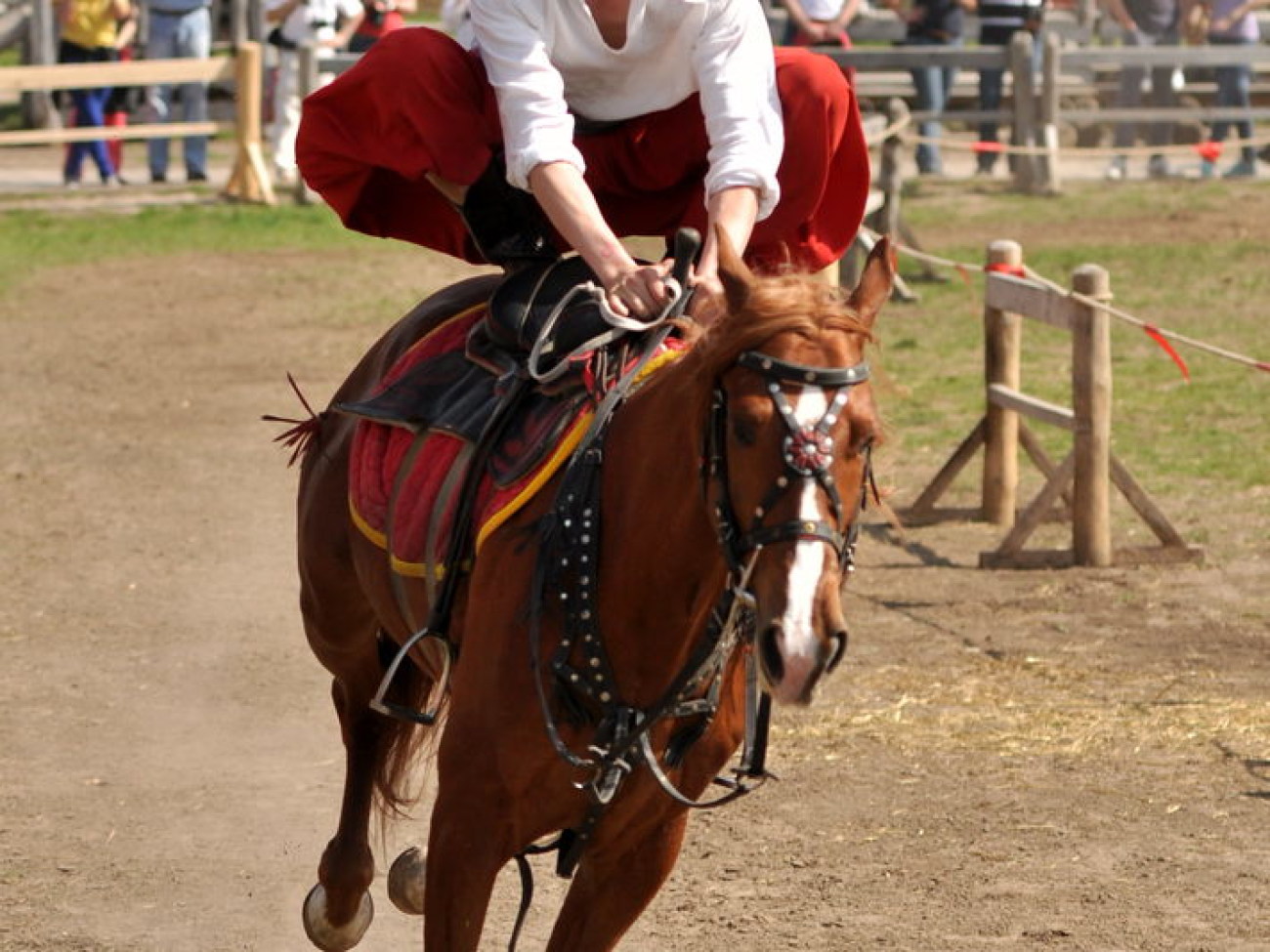 В Украине состоялся первый Международный фестиваль конно-трюкового искусства, 27 апреля 2013г.