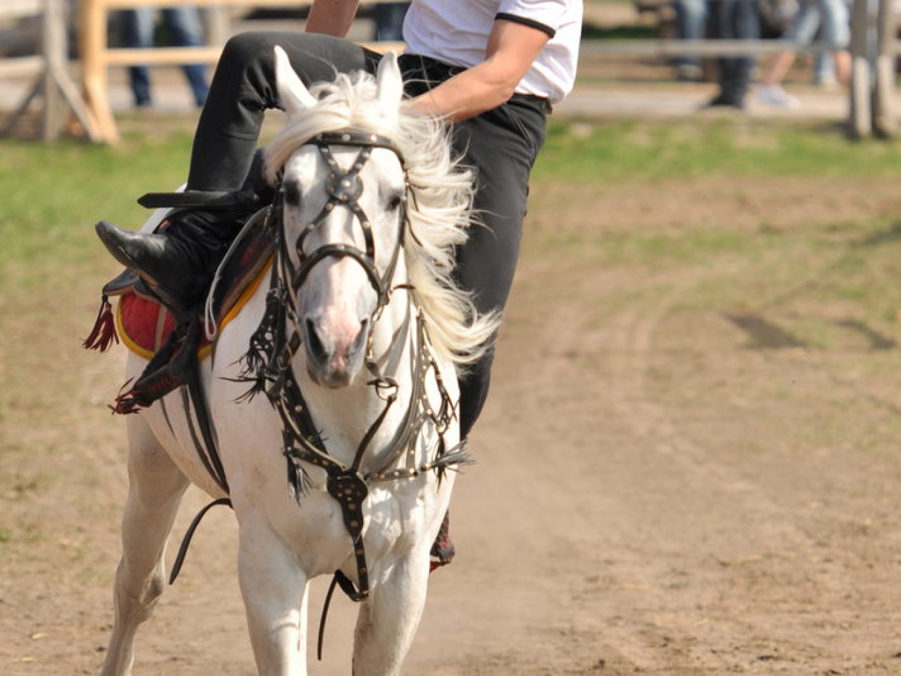 В Украине состоялся первый Международный фестиваль конно-трюкового искусства, 27 апреля 2013г.