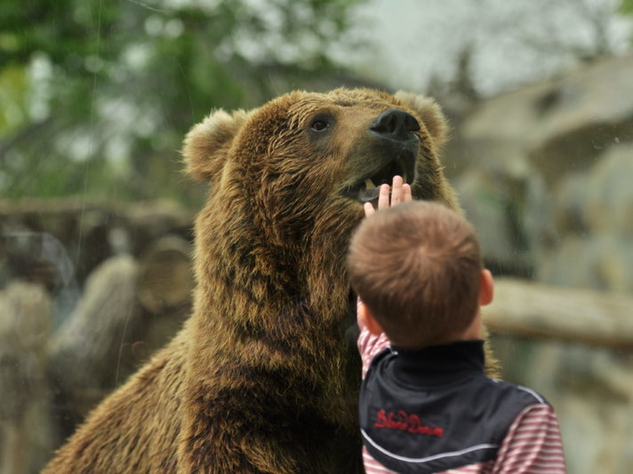 Киевский зоопарк устроил День открытых дверей, 30 апреля 2013г.