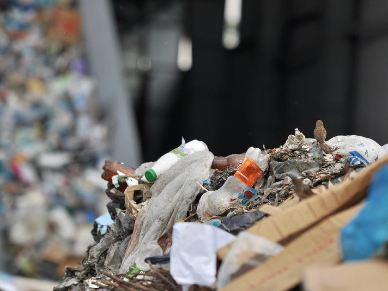 Журналистам показали как сортируют отходы, 6 июня 2013г.