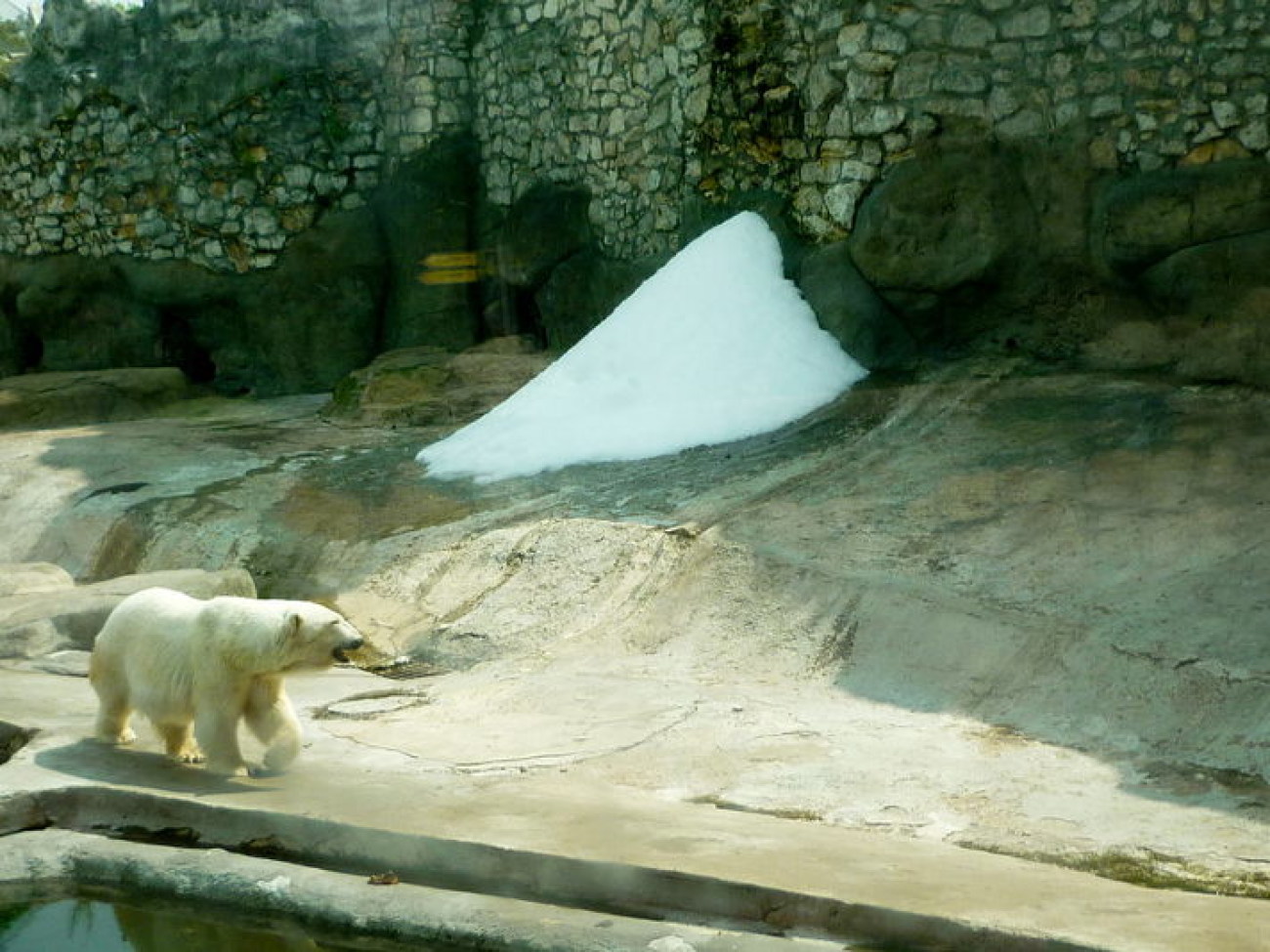 Московский зоологический сад