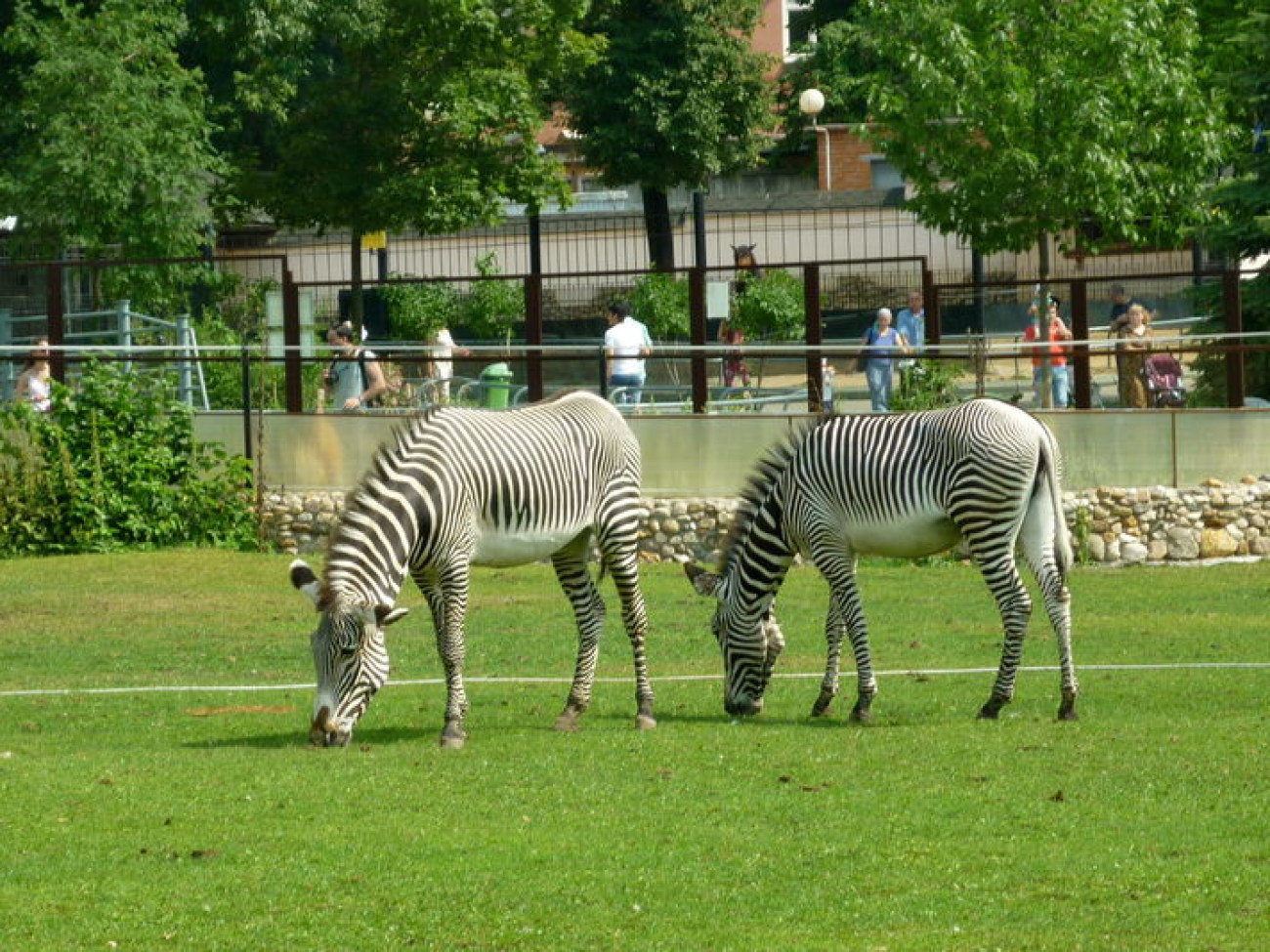 Московский зоологический сад