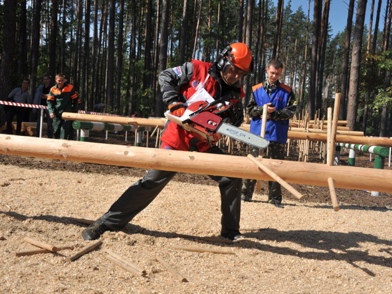 На Киевщине состоялся ХVІ Всеукраинский чемпионат вальщиков леса