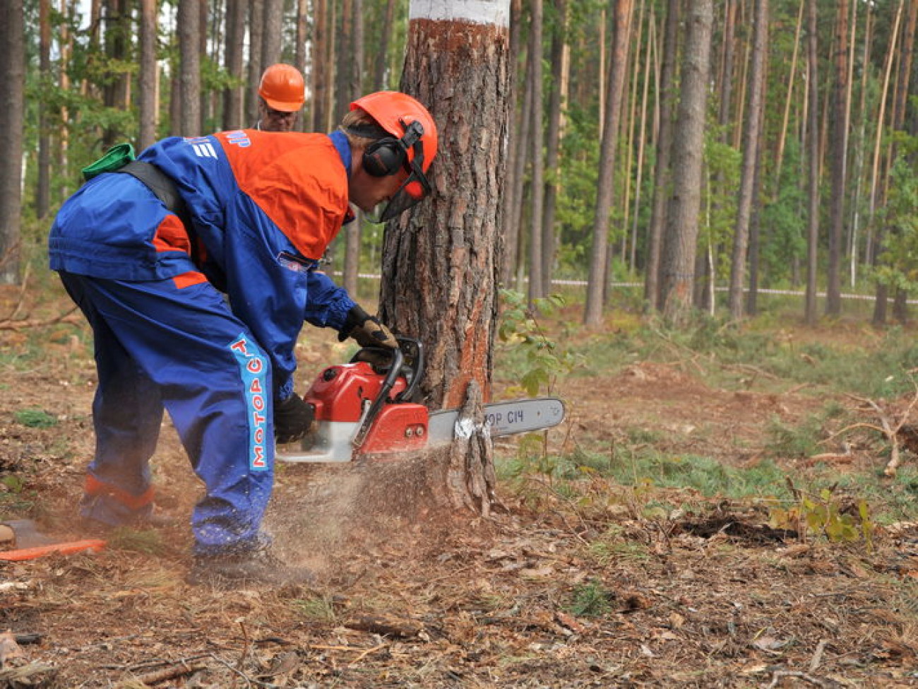 На Киевщине состоялся ХVІ Всеукраинский чемпионат вальщиков леса