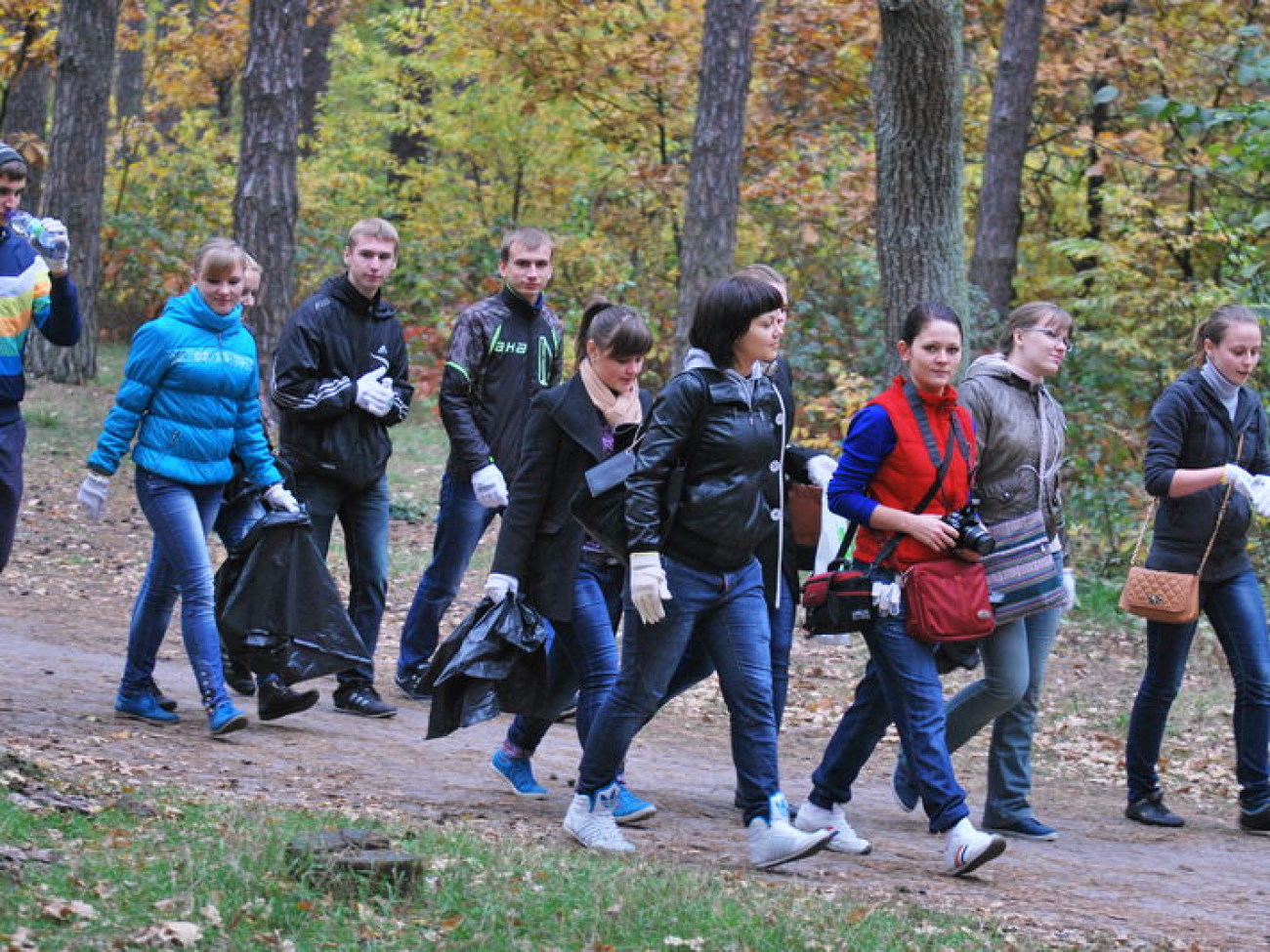 В Киеве убрали лес, 12 октября 2013г.