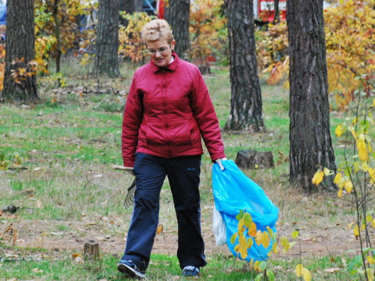 В Киеве убрали лес, 12 октября 2013г.