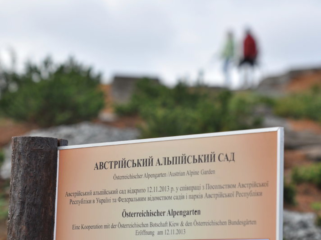 Альпы в Киеве: ботсад открыл &#187; Австрийский Альпийский Сад&#187;, 12 ноября 2013г.