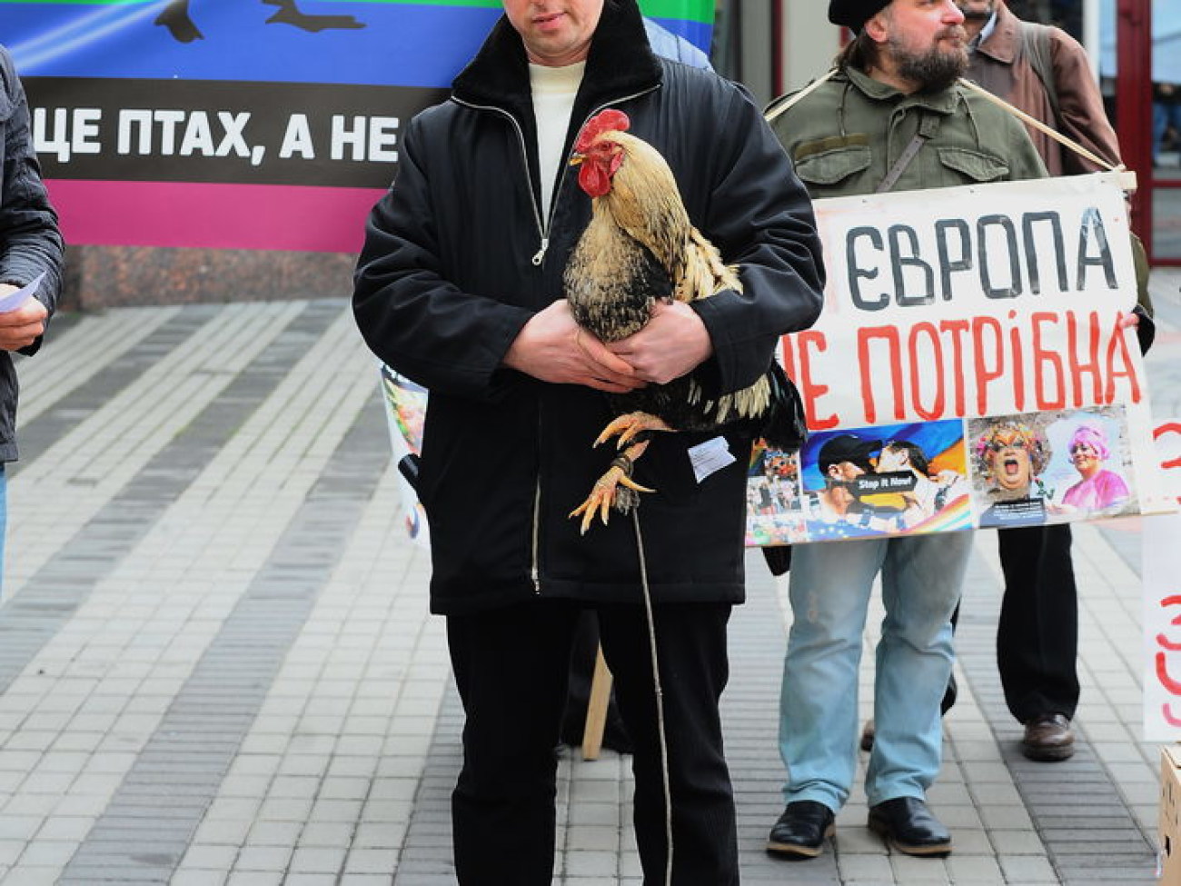 У Представительства Евросоюза в Киеве состоялось зоо &#8212; действие, 14 ноября 2013г.