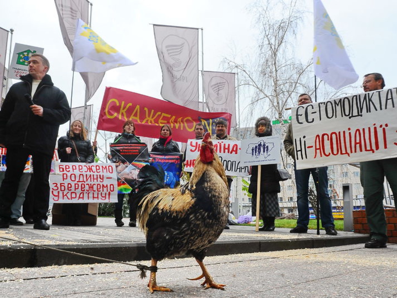 У Представительства Евросоюза в Киеве состоялось зоо &#8212; действие, 14 ноября 2013г.